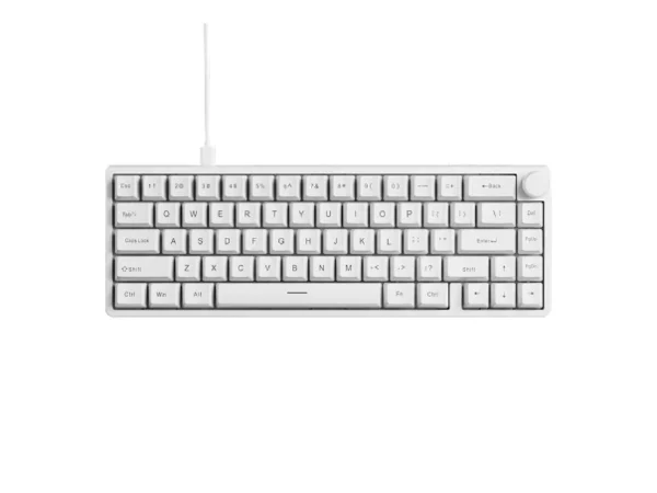 EWEADN C65 V2 Wired Gasket Hot Swappable Mechanical Keyboard