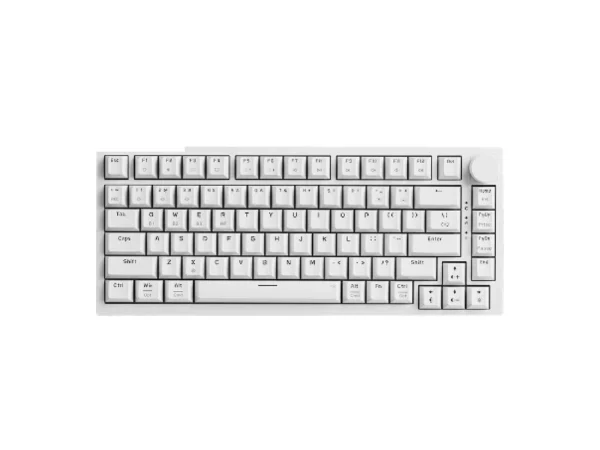 Eweadn C75 RGB Hotswappable Wireless Mechanical Keyboard