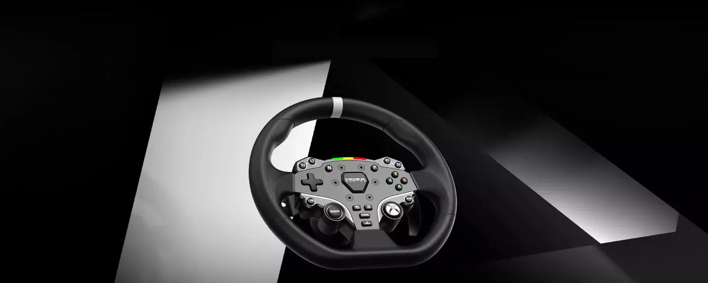 ESX Steering Wheel for PC & Xbox